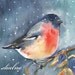 Bullfinch - Print of watercolor painting