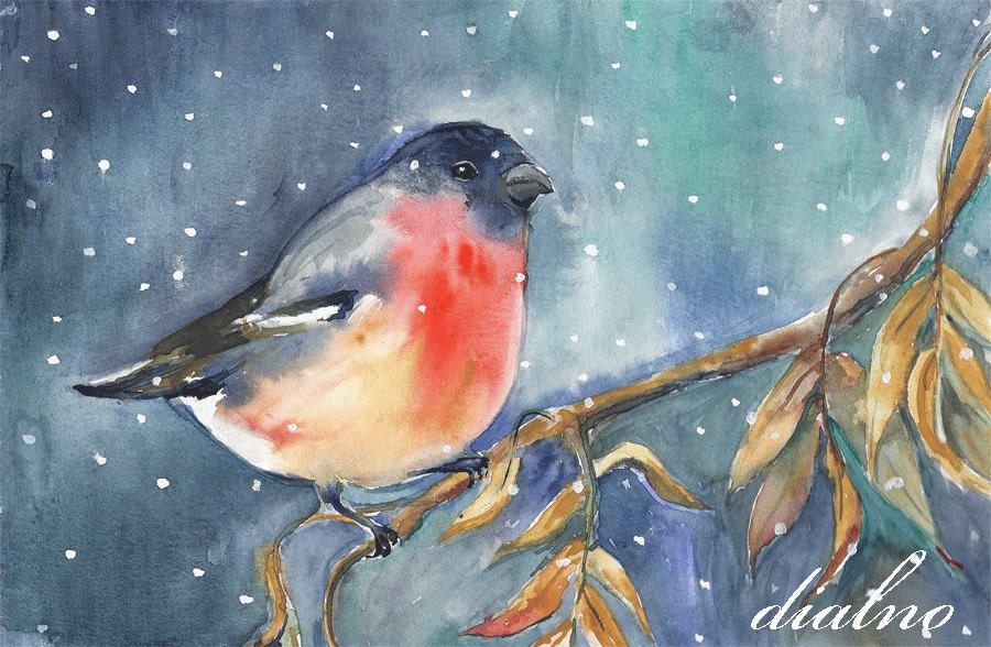 Bullfinch - Print of watercolor painting