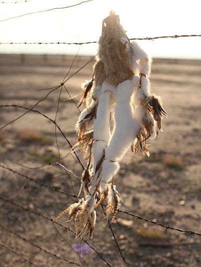 coyote headdress