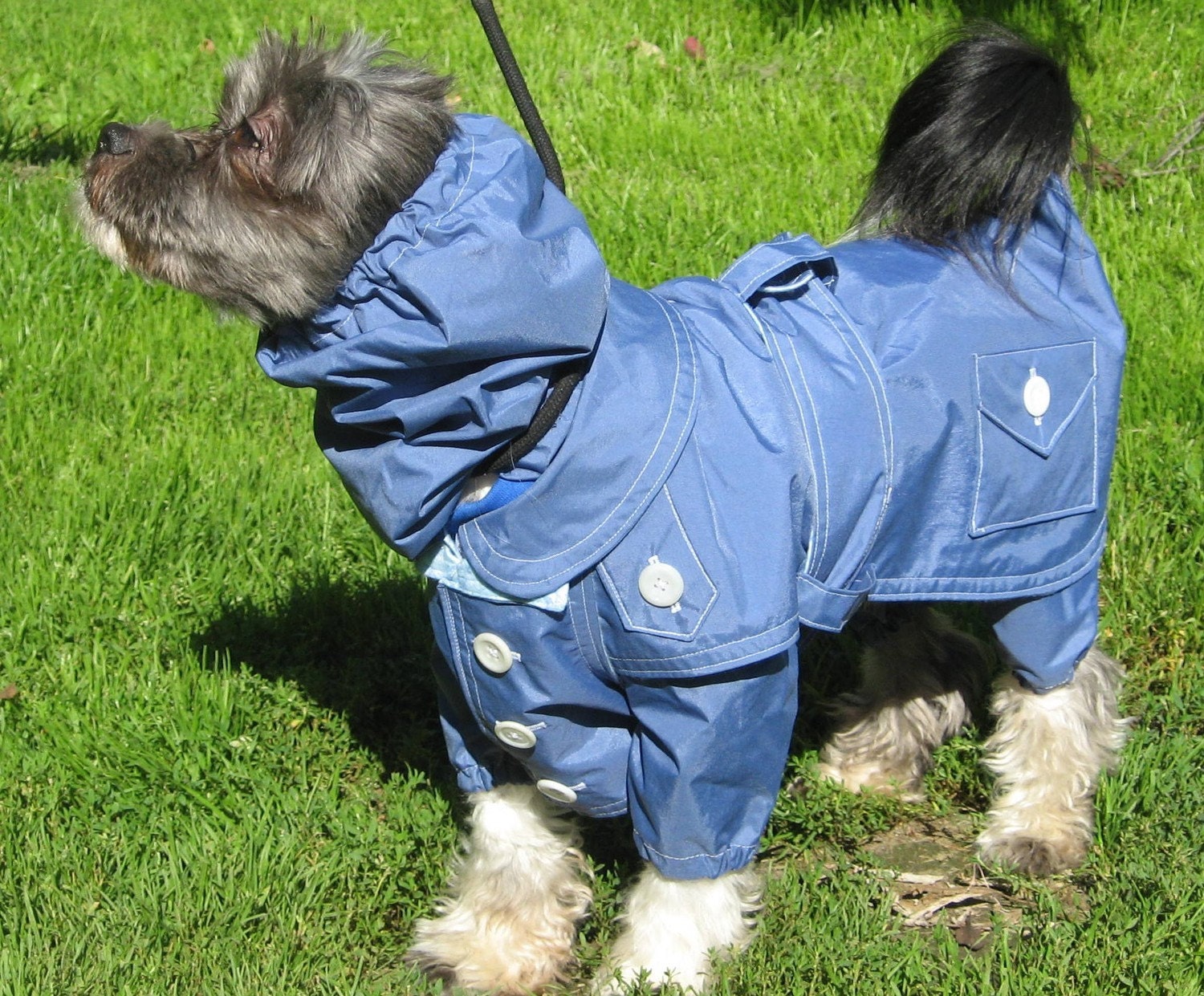 Tootlewear's Splash Doggie RainSuit-Blue Medium