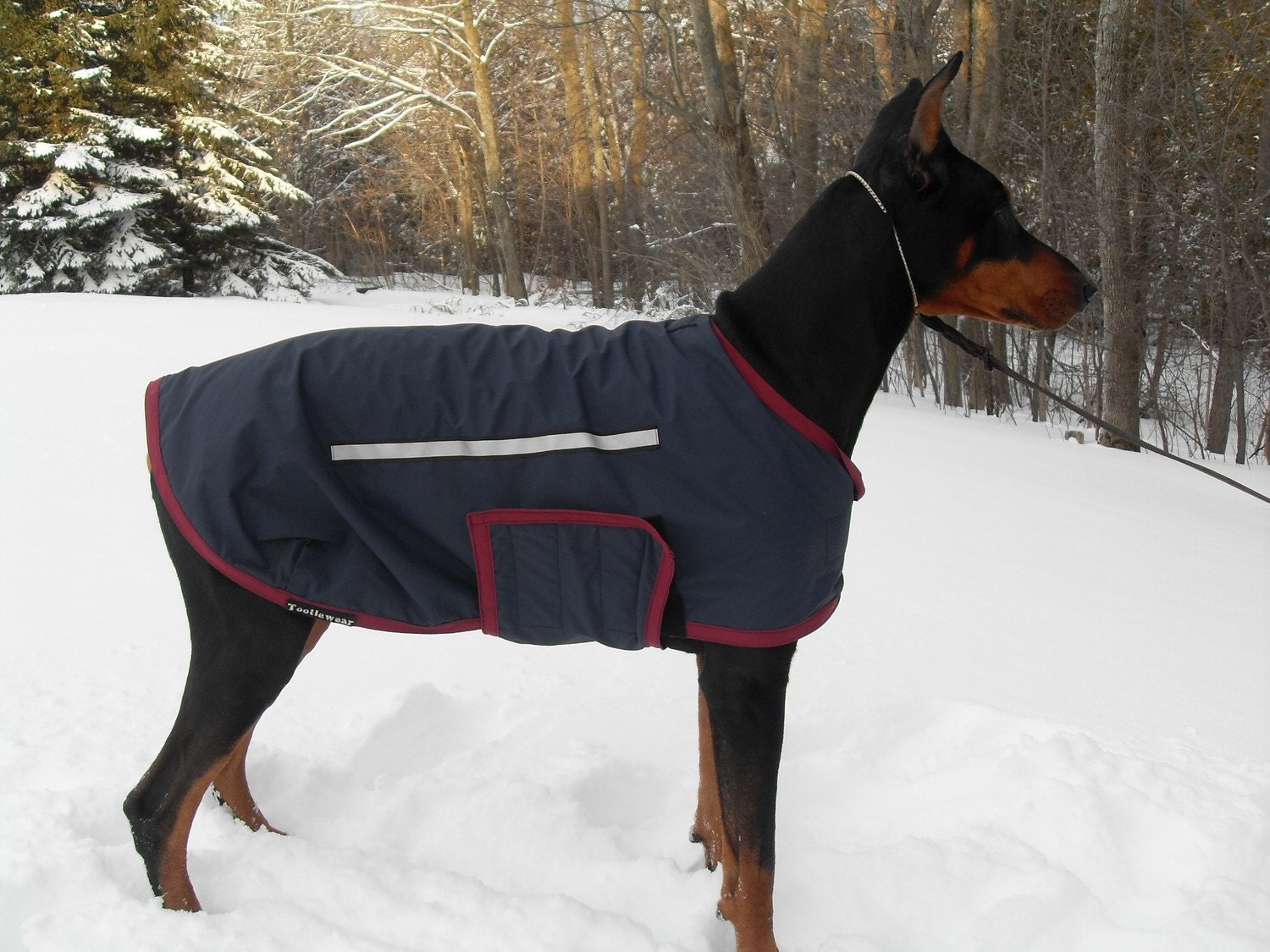 Tootlewear's All Breed Dog Raincoat XLarge to Giant Sizes