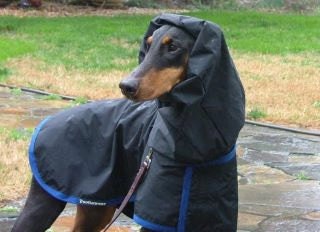 Tootlewear's 321 All Weather Dog Coat XLarge
