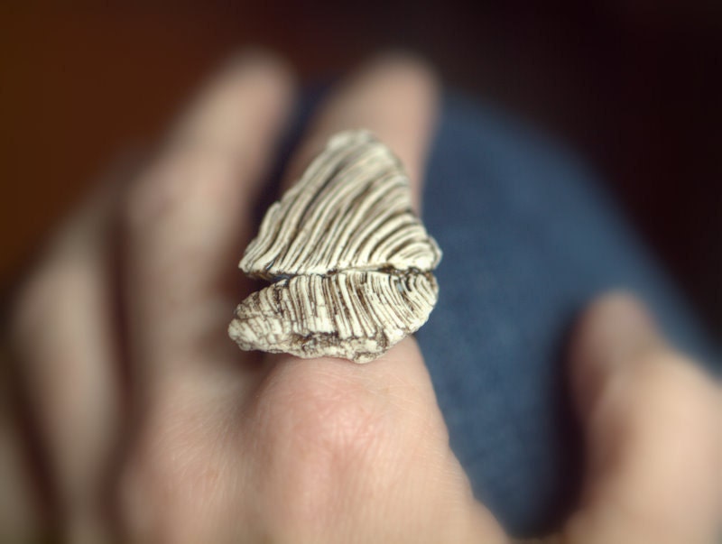 Fragment - An earthy porcelain ring with details of mushrooms