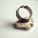 Fragment - An earthy porcelain ring with details of mushrooms