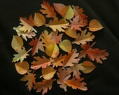 100 Edible Medium Size Fall Oak, Maple and Aspen Leaves (Wafer Rice Paper)