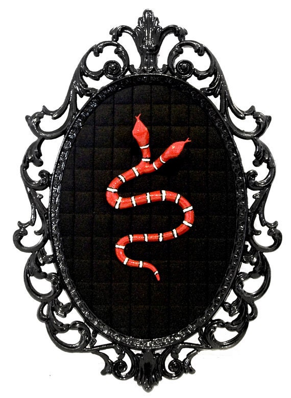 Two Headed Snake - Victorian Framed Object - Wall Art Decor 7x10in