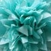 12 Poms --- Pick Your Colors