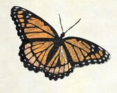 Viceroy
