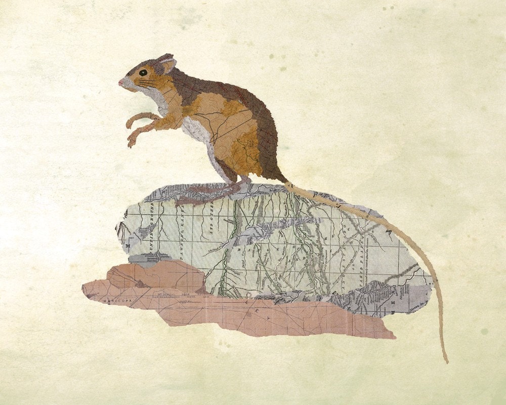 Woodmouse
