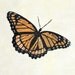 Viceroy