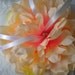 Peach Peony Ring Bearer Pillow with Vintage Lace
