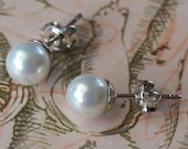Pearlescent Sea Shell Sterling Silver Stud Earrings