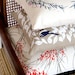 Cushion Small 'Red-backed Wren & Wattle'