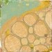 Urban Growth Strategy 04