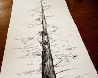 Conifer guestbook alternative tree, hand drawn design - Great host/hostess gift