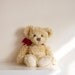 HALF PRICE Vintage Spencer Bear