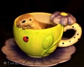 Haz U Zen Ma T Bag - A Fine Art Photograph - 8 x 10  of a baby round tail squirrel.