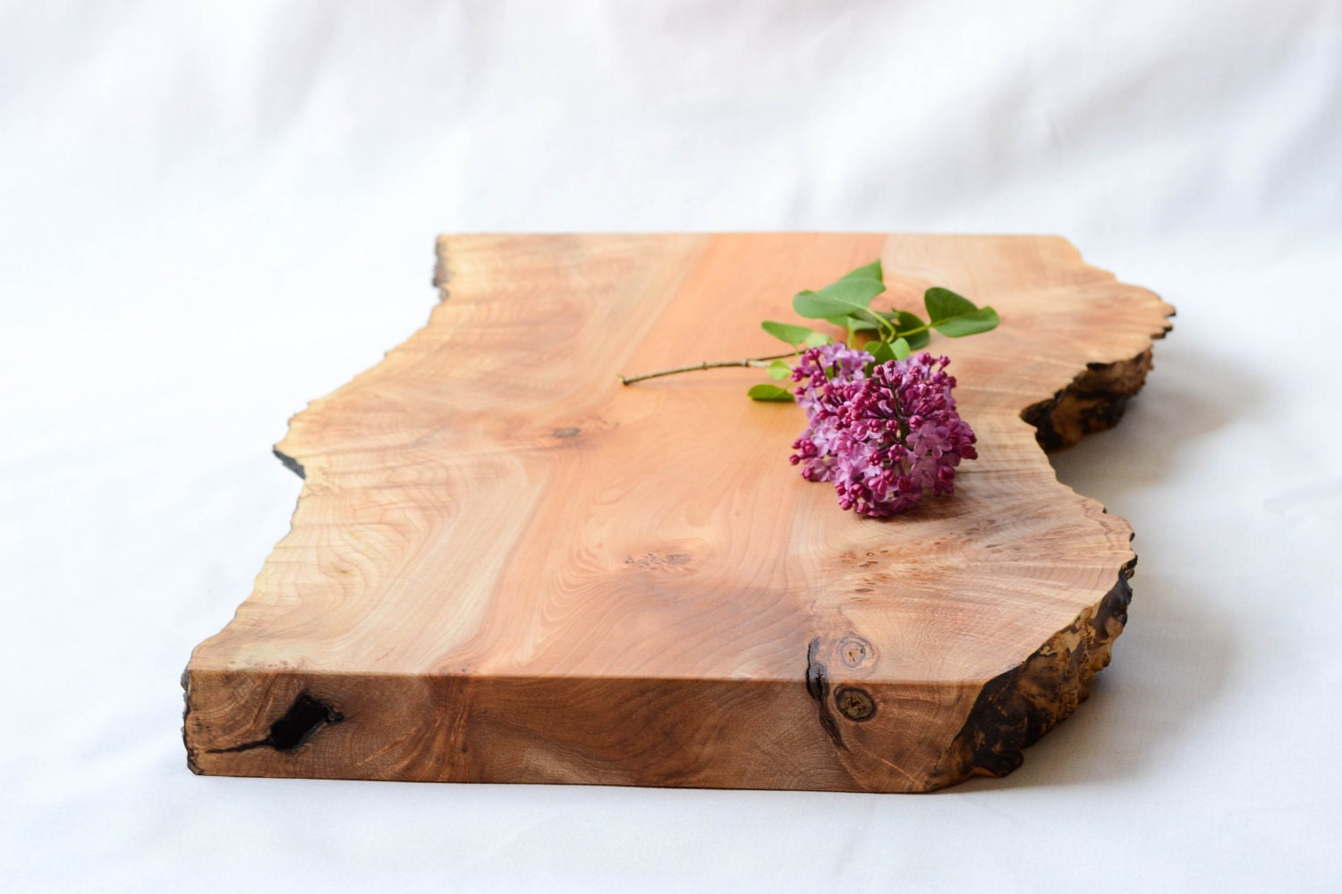 Burl Burst Natural Edge Serving Board or Wood Centerpiece 622