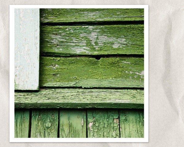 green wooden wall, architectural, abstract photography, 8x8 print, reclaimed wood, peeling paint, weathered, green,minimal home decor - bialakura