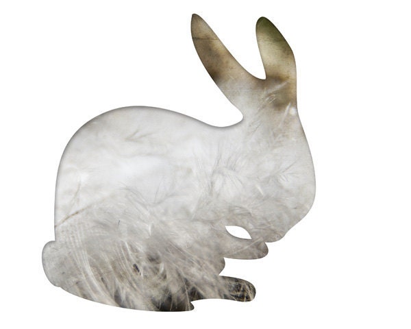 bunny in white and taupe, silhouette abstract photography, rabbit, hare, 8x10 art print, nursery decor, gray, beige