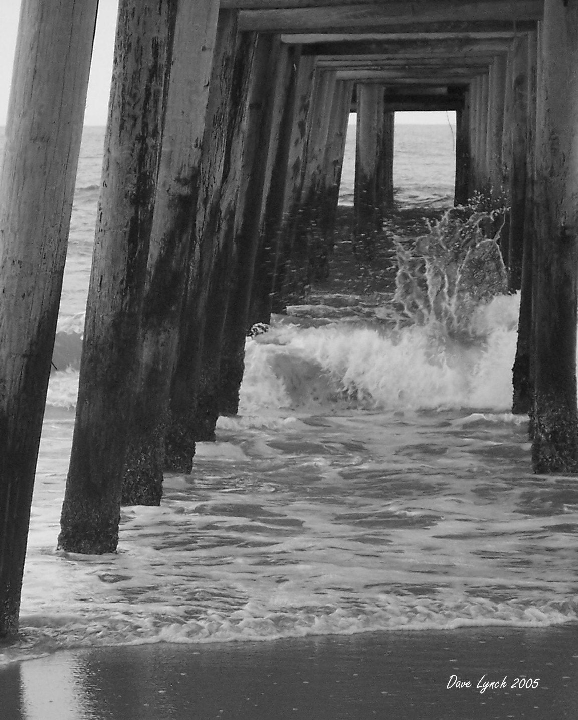 Splash - Sandbridge VA Pier - Fine Art Photography Print - FREE SHIPPING with any other purchase
