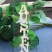 Your Name Book Mark - Scherenschnitte - Hand Cut 3x7 - Free Shipping In U.S. with any other purchase