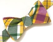 Summer Squash Men's Freestyle Bow Tie