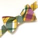 Summer Squash Men's Freestyle Bow Tie