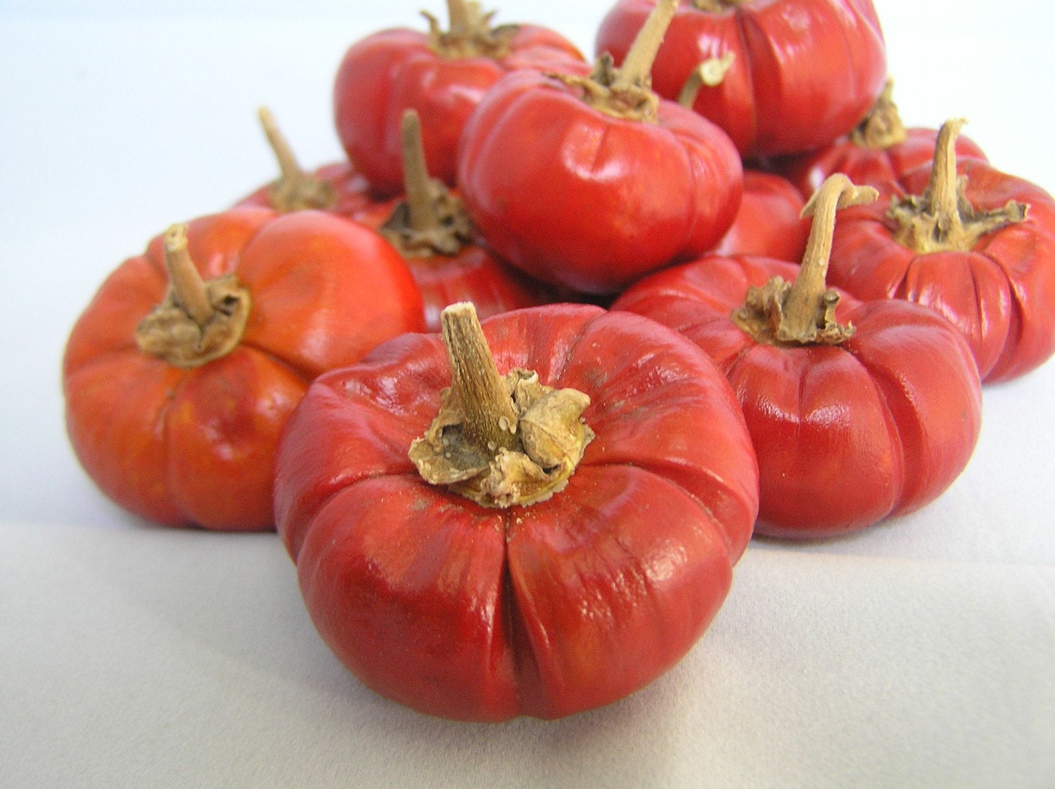 Ornamental Mini Pumpkin Seeds