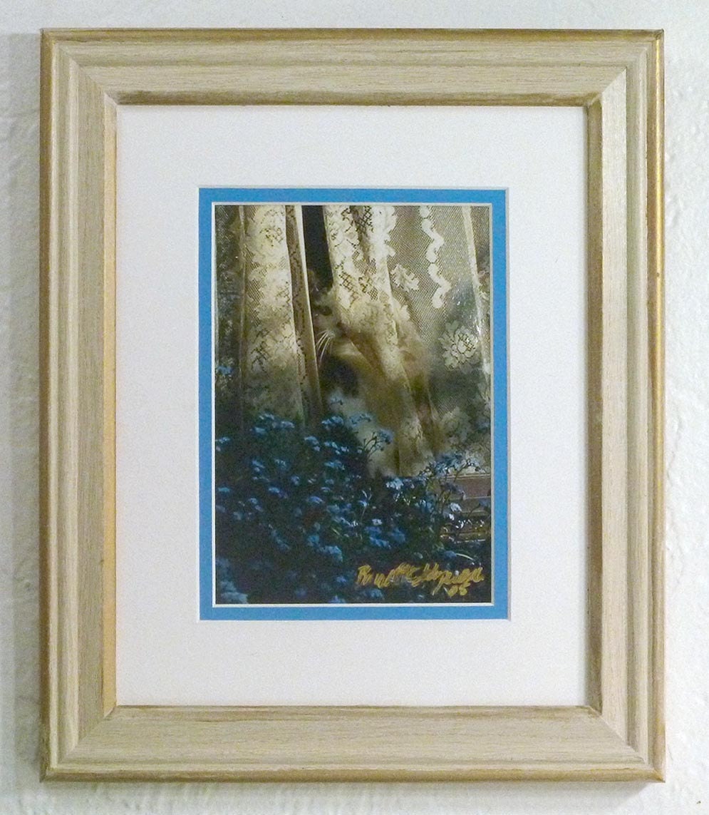 Photo, Sophie Keeps an Eye on Things, 5x7
