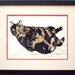 The Tortie Cats Set, both The Goddess and The Roundest Eyes