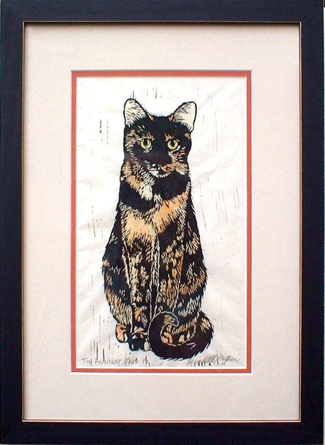 The Tortie Cats Set, The Roundest Eyes