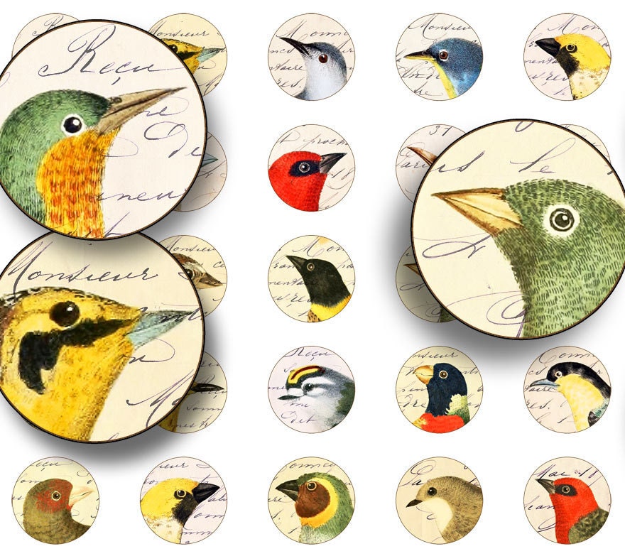 1 inch Circles Digital Collage Sheet for Glass Pendants, Magnets, Bottecaps and more- Printable Download No. 305