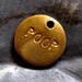 POOP - Custom Engraved Brass Charm