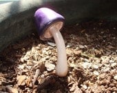 Tall Dark Purple Mushroom: Potted plants and Terrariums