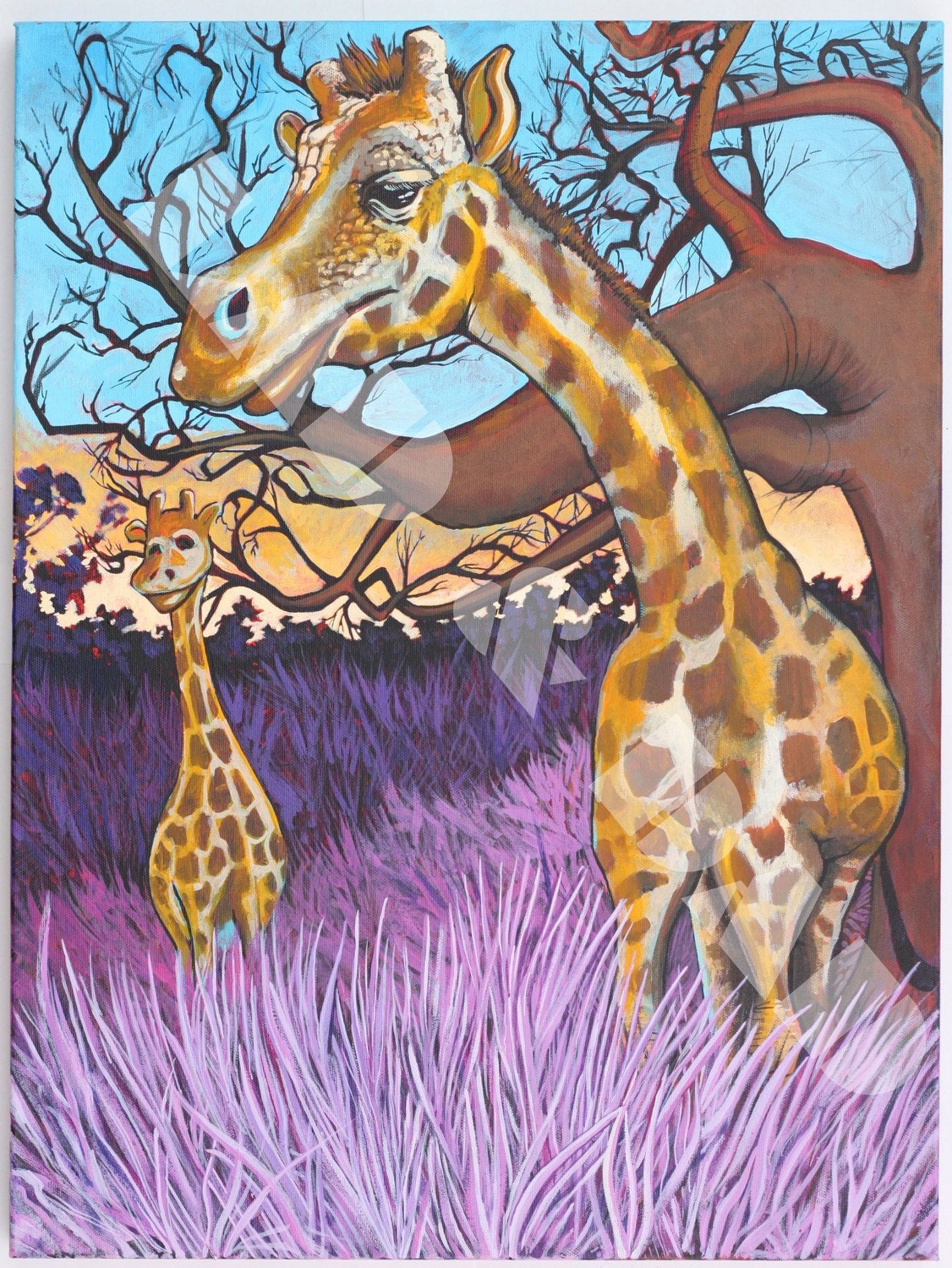 Giraffes