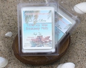 Beach Escape Collection Scented 100% Soy Breakaway Melts