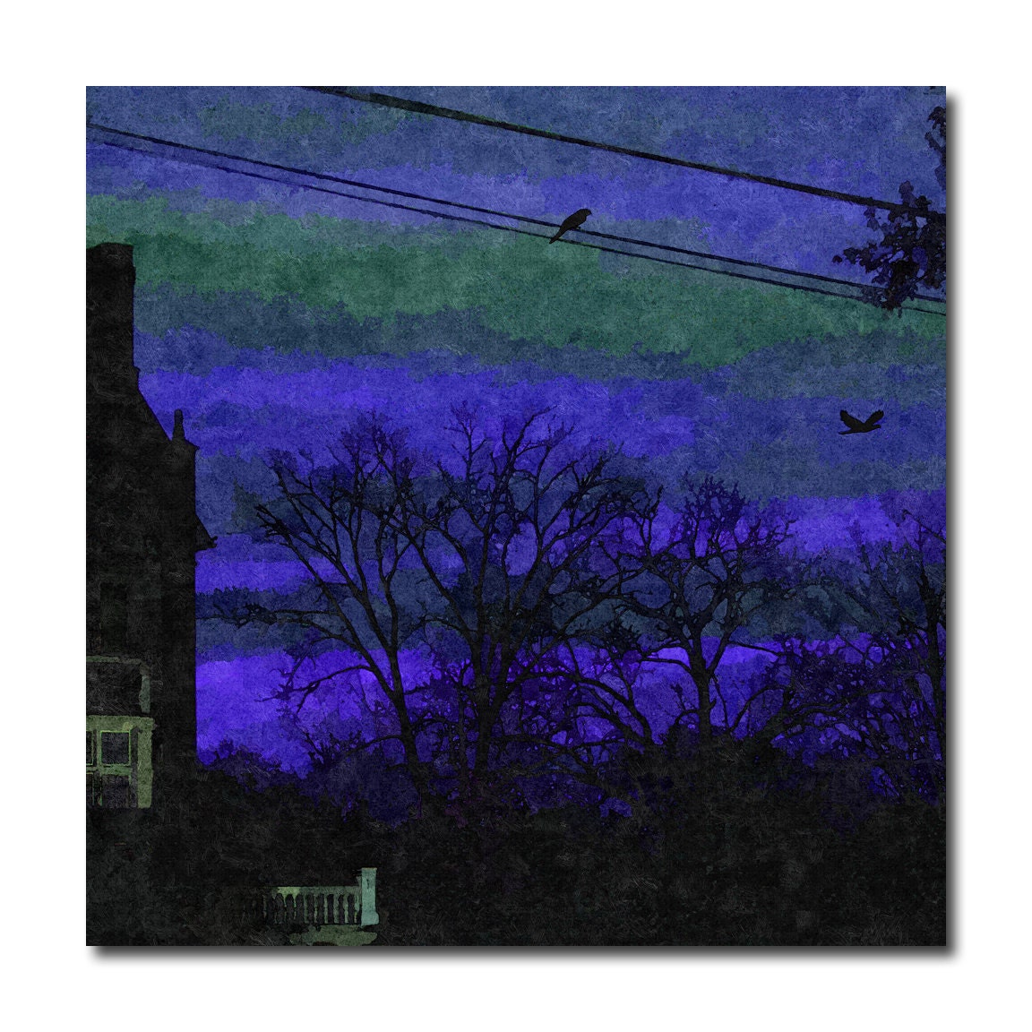 Blue Abstract Sunset print 8 x 10 in, spooky nature scene, silhouetted trees Christmas in July CIJ - FischerFineArts
