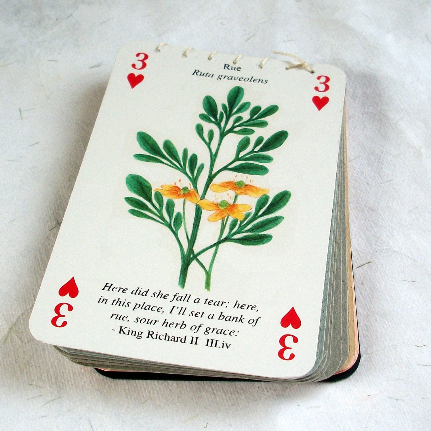 Rue upcycled mini notebook Shakespeare's Flowers - NaturallyHeartfelt