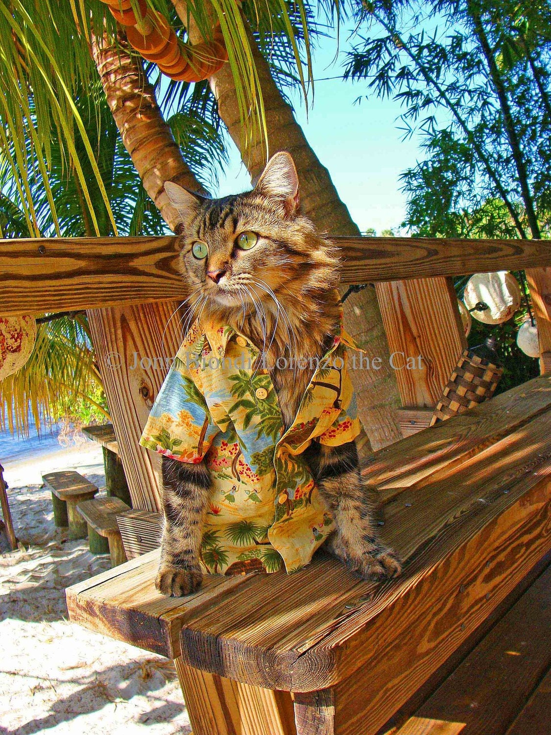 Beach Bum Chic Greeting Card