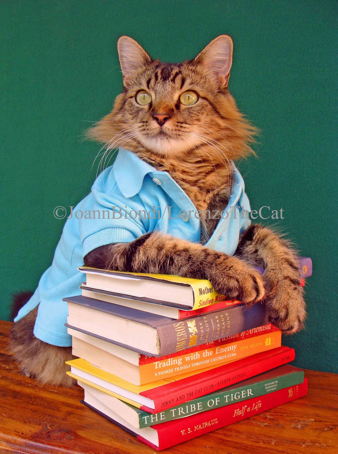 The Reader Greeting Card