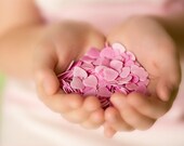 8 x 10 photograph, hearts, love, pink, feminine, home decor, nursery wall art, feminine, girl
