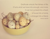 eggs, nature, quote, words, 8 x 10 photograph, home decor, kitchen wall art