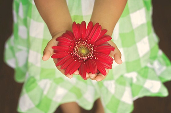 flower, daisy, girl, for her, 8 x 10 photograph, home decor, nursery childrens wall art,