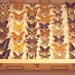butterfly, 8 x 8 photograph, home decor, childrens wall art, neutral, yellow, brown