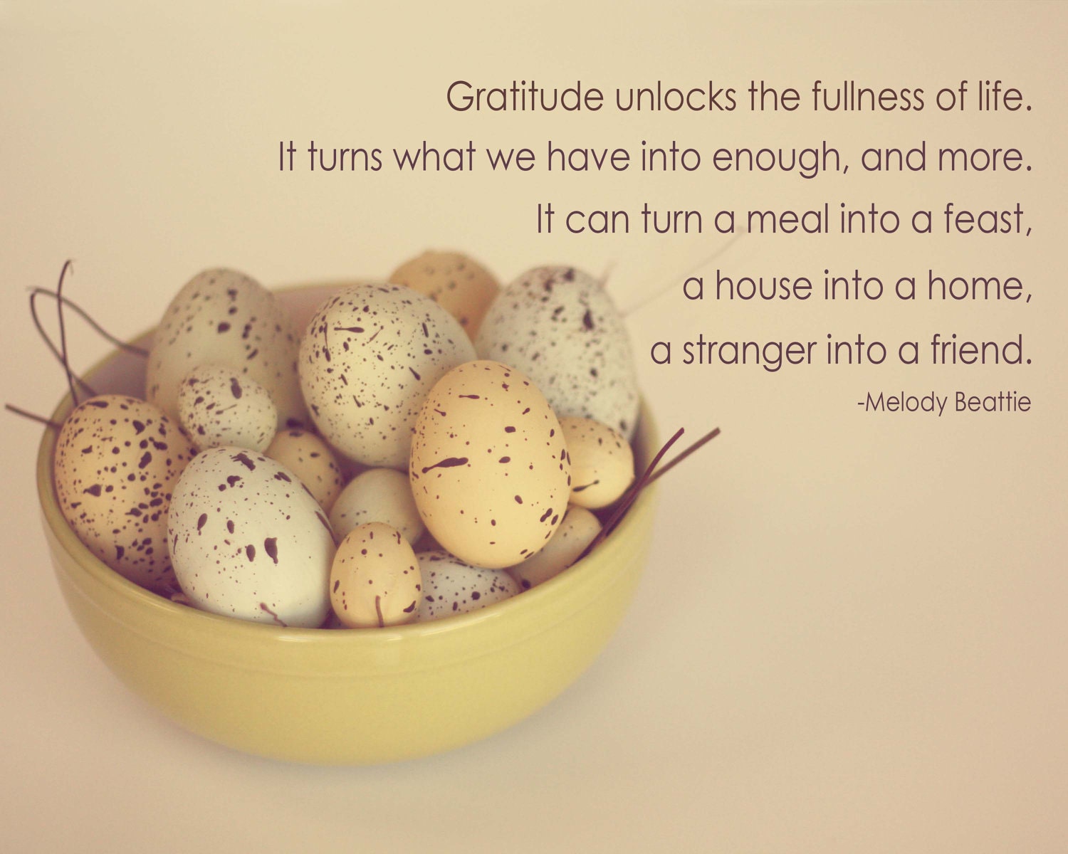 eggs, nature, quote, words, 8 x 10 photograph, home decor, kitchen wall art