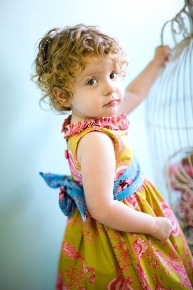 Birds and Bees Vintage Party Dress- Tina Givens fabric
