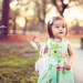 Girls Birthday Dress - Garden District Vintage Party Dress