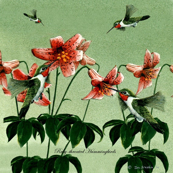 Ruby Throated Hummingbirds, 6x6 ceramic tile