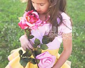 Belle Inspired Dress Up Costume Apron, Half Apron style...Made to Order
